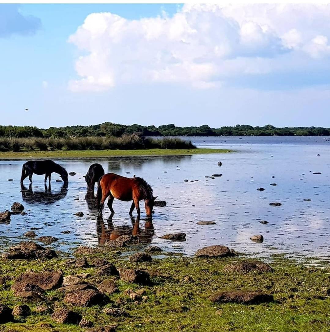 Casa Susanna Rural Sardinia Sini エクステリア 写真